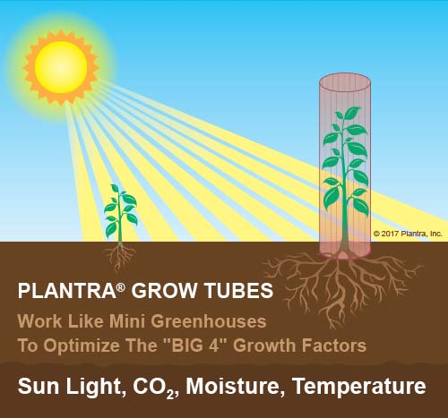 Plantra SunFlex Grow Tube System For Trees 10pk